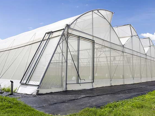 Bird-proof and insect-proof net series